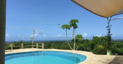 Luxury Living in Vipingo